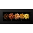 thumbnail image 2 of Frank, Assaf 18x9 Black Modern Framed Museum Art Print Titled - Floral Salute, 2 of 5