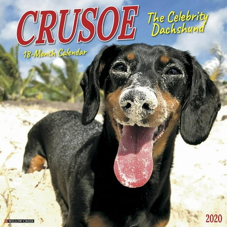 Crusoe the Celebrity Dachshund 2020 Wall Calendar (Dog Breed Calendar) (Other)