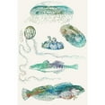 thumbnail image 3 of Chandler, Sharon 17x24 Black Modern Framed Museum Art Print Titled - Aquatic Assemblage IX, 3 of 5