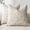 Beige, variant on otnbgsr A set of 2-piece decorative linen grid pillow set, neutral farmhouse retro cushion set, modern bohemian style home decoration sofa chair sofa bedroom living room, 18 x 18 inches
