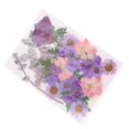 thumbnail image 4 of segolike 10Pcs Multiple Mix Natural Pressed Dried Flowers Leaves DIY Arts Crafts A A, 4 of 9