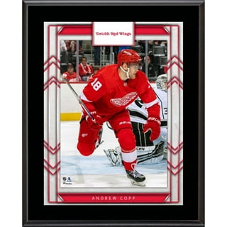 Lids Bobby Ryan Detroit Red Wings Fanatics Authentic Unsigned Jersey  Bumping Gloves with Teammates Photograph