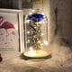thumbnail image 1 of La Bella y la Bestia, rosa, flor encantada con luz LED en cúpula de cristal para Navidad, Día de San Valentín, Día de la Madre, cumpleaños, el mejor regalo para novia, esposa, mujer, ella, colorido Fokelyi ZJWJ623-4, 1 of 3