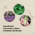 thumbnail image 2 of MAGMALIFE Aceites Esenciales 100% Puros Naturales, 6 Botellas con Esencias para  Humidificador, Perfecto para Aromaterapia, Set con Distintos Aromas de 10 ml Cada Uno Best Trading SE6ESE, 2 of 7