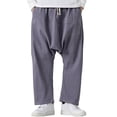 thumbnail image 1 of XDZJLR Men's Casual Pants Cargo Splicing Harun Kong Style Neutral Straight Pant, 1 of 5