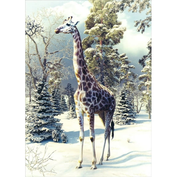 Northern Exposure Giraffe Walking : Snow Covered Trees Box of 12 Christmas Cards