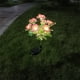 thumbnail image 4 of Luces de flores Injueey alimentadas por energía solar decorativas para césped, 4 of 6