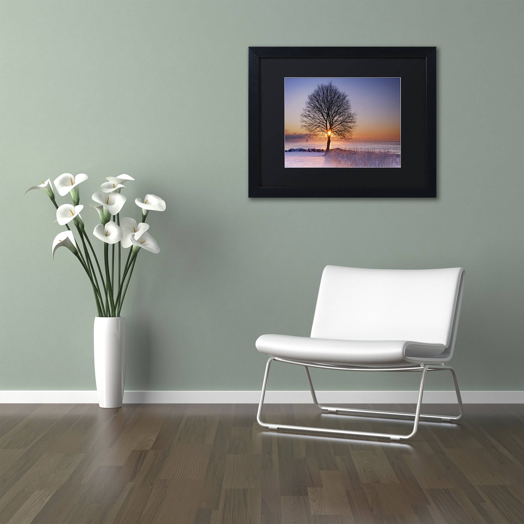 Trademark Fine Art "Tree Burst" Canvas Art by Michael Blanchette Photography Black Matte, Black Frame