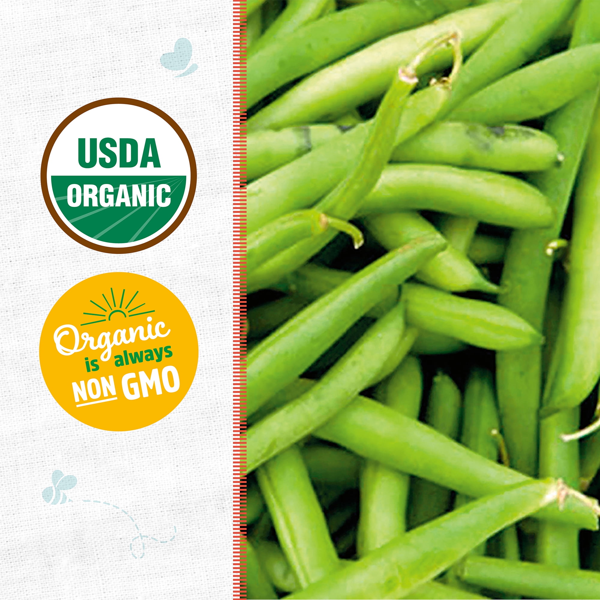 Beansページ Back to the Roots Organic Tender Green Bean Seed Packet