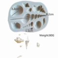 thumbnail image 1 of Cake Pans Molds New Conch-shaped Gypsum Mold - New Shell Shape Cake Mo, 1 of 2