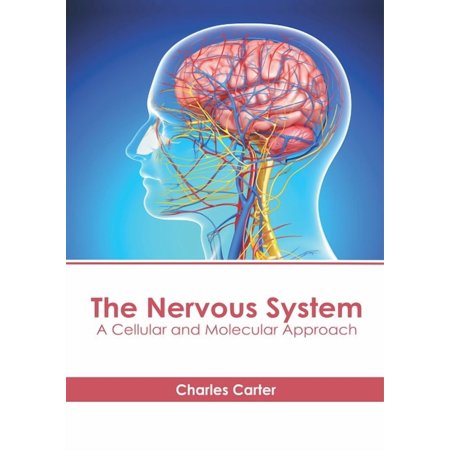 The Nervous System: A Cellular and Molecular Approach (Hardcover)