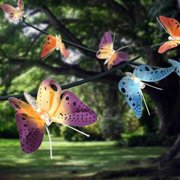 Butterfly Lights