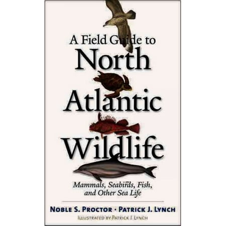 A Field Guide To North Atlantic Wildlife Marine Mammals