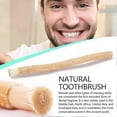 thumbnail image 5 of Miswak Siwak Natural Toothbrush Misvak Traditional Arak Miswaak Manual Teeth Whitener Soft Travel Middle Eastern Ancient Law, 5 of 5