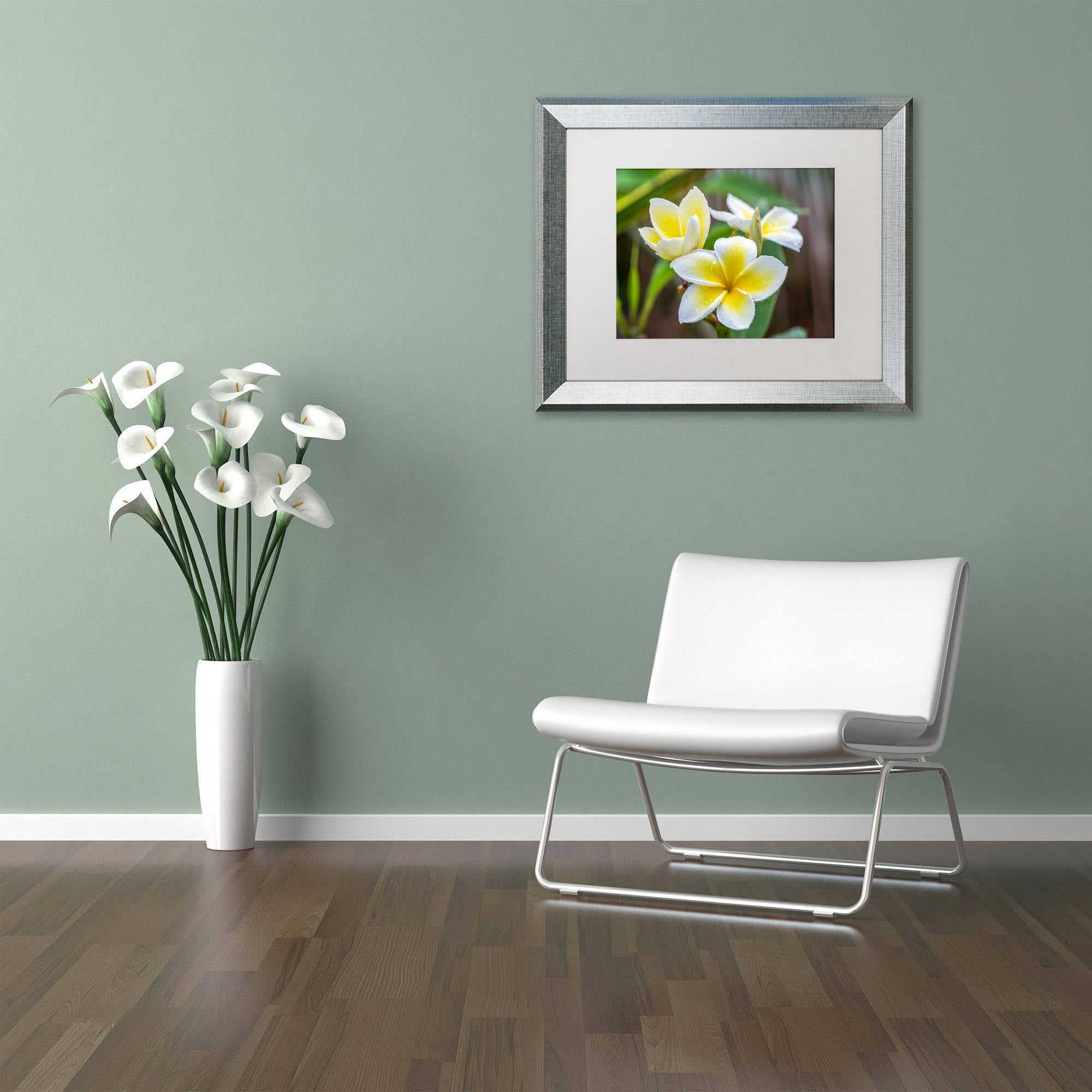 Trademark Fine Art 'Plumeria in the Rain' Canvas Art by Pierre Leclerc, White Matte, Silver Frame