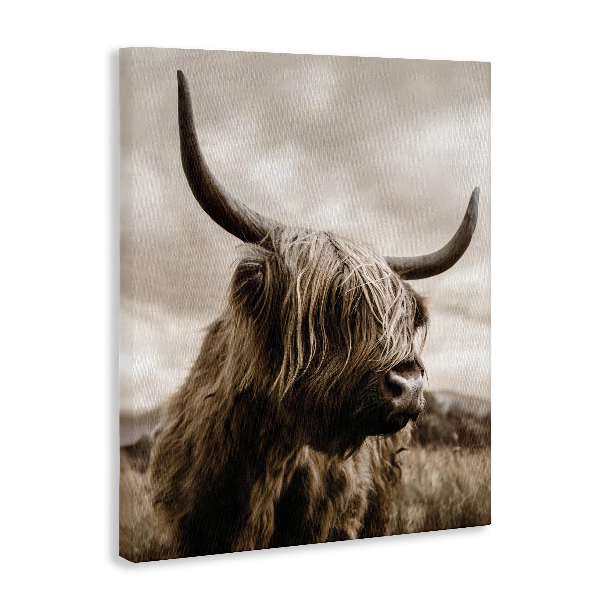 Stupell Industries Highland Cow on Windswept Moor Canvas Wall Art, design by CAD Designs