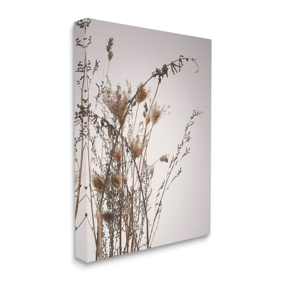 Stupell Industries Autumn Thistles in the Sky Neutral Brown Beige Canvas Wall Art, 24 x 30, Design by Design Fabrikken
