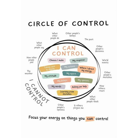 Circle Of Control Posters What I Can And Cannot Control Canvas Wall Art Mental Health Prints for Bedroom Office or Living Room Wall Decor