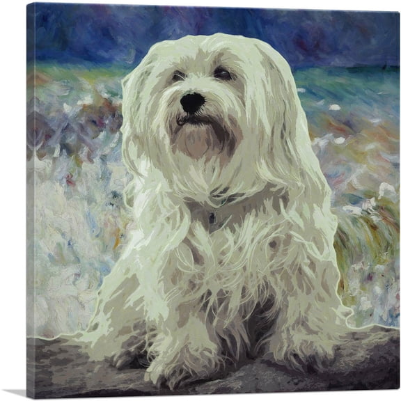 ARTCANVAS Havanese Dog Breed Canvas Art Print - Size: 18" x 18" (0.75" Deep)
