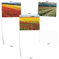 thumbnail image 4 of The Best Card Company - 20 Assorted Blank Plant Cards Boxed (4 x 5.12 Inch) (10 Designs, 2 Each) - Super Blooms AM7175OCB-B2x10, 4 of 9