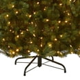 thumbnail image 3 of Árbol de Navidad Dunhill Fir de National Tree Company, 7.5 pies, 3 of 7