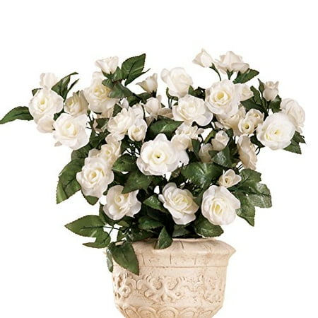 Accent Three Roses - Floral Rose Bushes - Set Of 3 White