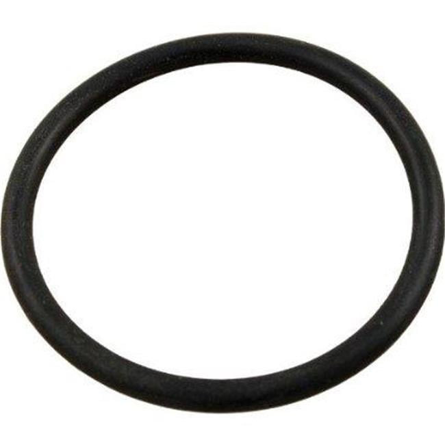 Hayward SX220Z2 Large Oring Replacement