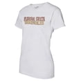 thumbnail image 2 of Women's Heather Gray Florida State Seminoles Checkered Team Name Wavy Tri-Blend T-Shirt, 2 of 3