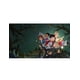 thumbnail image 4 of The Last Kids on Earth and the Staff of Doom - Nintendo Switch Nintendo Nintendo Switch, 4 of 4