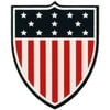Team USA Shield Magnet Pin