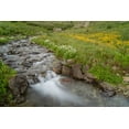 thumbnail image 2 of Jaynes Gallery 32x23 White Modern Wood Framed Museum Art Print Titled - USA-Colorado Mountain wildflowers and stream, 2 of 4