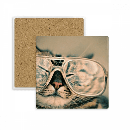 

Animal Glasses Cat Photograph Shoot Square Coaster Cup Mat Mug Subplate Holder Insulation Stone