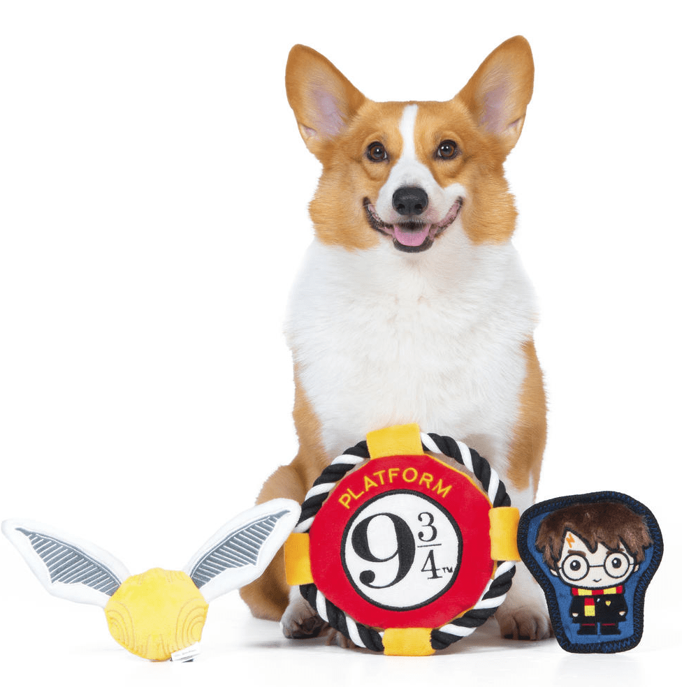 Wizarding World of Harry Potter 3 Piece Plush Squeaker Dog Toys