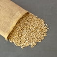 thumbnail image 4 of Organic Einkorn Grain Seeds Husk On - 4 Oz ~2800 Seeds - Low Gluten Ancient Wheat Species - Heirloom, Non-GMO - Grow Grain, Wheatgrass, Grind for Flour, More., 4 of 6