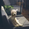 thumbnail image 4 of Pet Ear Muffs Winter Dog Ear Protection Warm Pet Head Wrap Dog Snood, 4 of 5