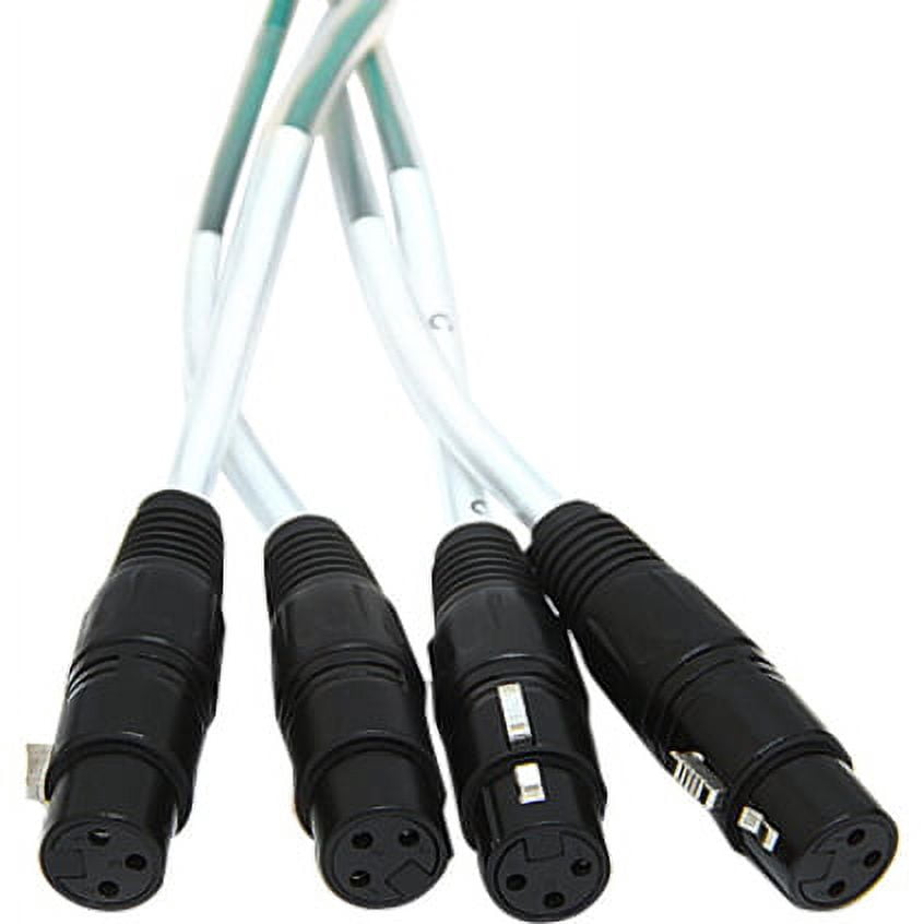 SAXQ-24x4x100 - 24 Channel 100' Snake Cable (XLR & TRS)