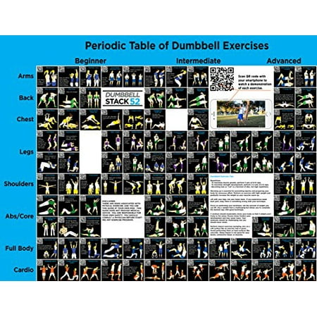 Dumbbell Exercise Poster Large Periodic Table Of Dumbbell Exercise Poster Large Periodic Table Of Exercises By Stack 52