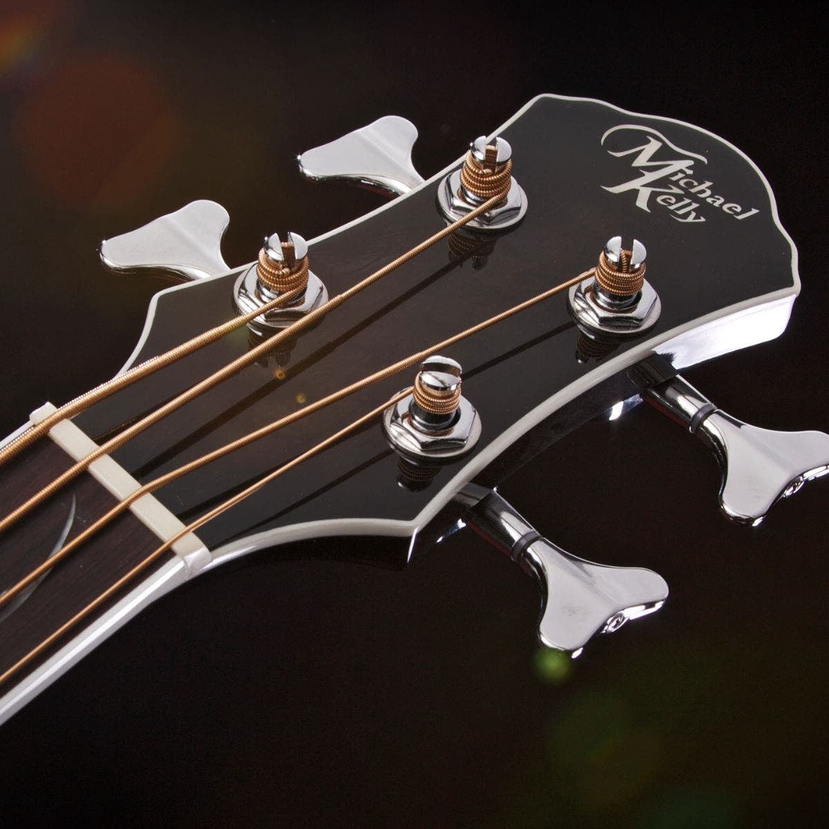 Michael Kelly Dragonfly 4 Fretless Acoustic Electric Bass