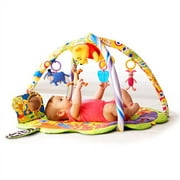Disney - Winnie the Pooh Playtime Gym