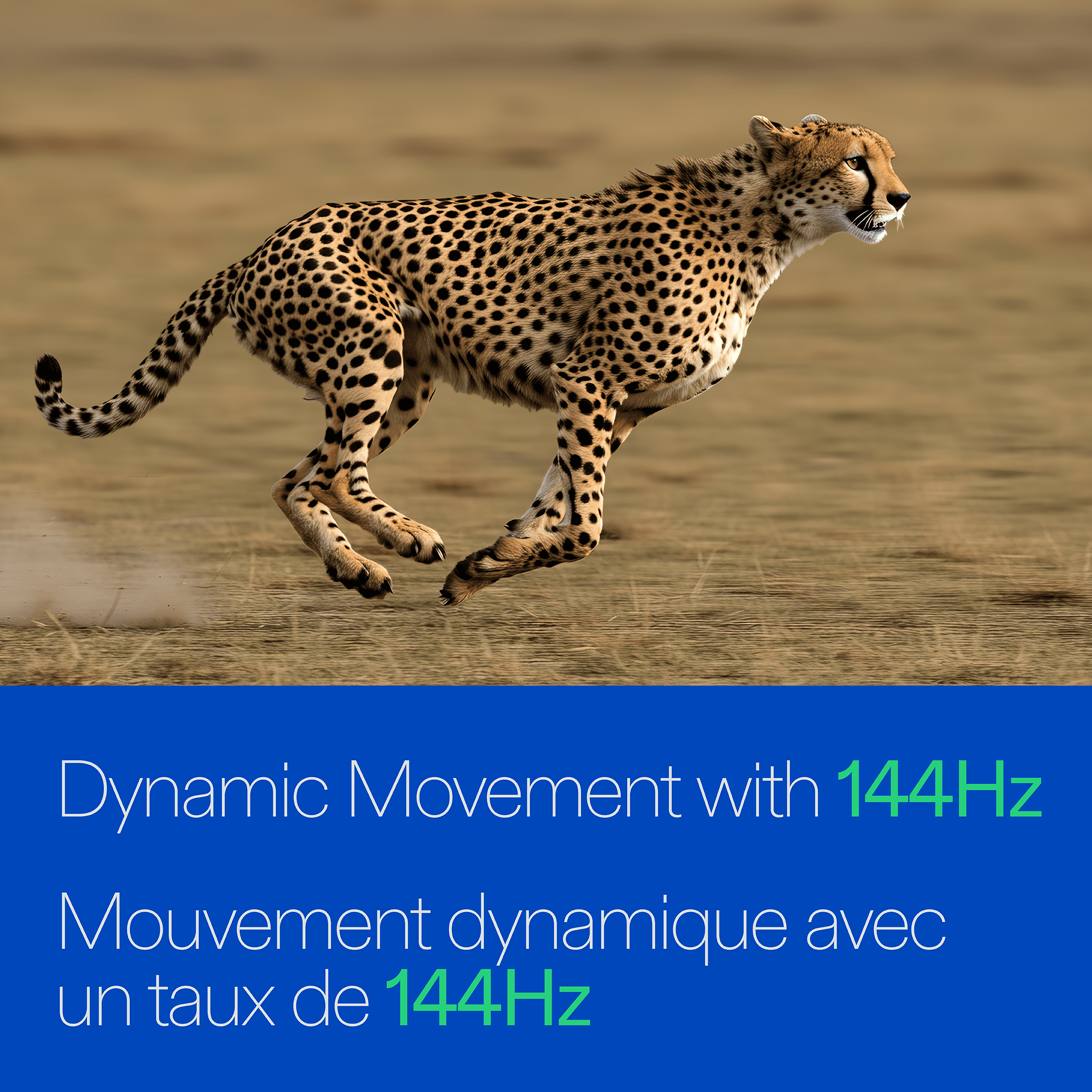 Téléviseur intelligent Roku QLED Mini-DEL 4K UHD de 139,7 cm (55 po) onn, ONB25MNR55-CA, 3 HDMI, 144 Hz