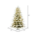 thumbnail image 2 of Vickerman 6.5' x 57" Flocked Kamas Fraser Tree, Warm White Low Voltage 3MM LED Lights., 2 of 4