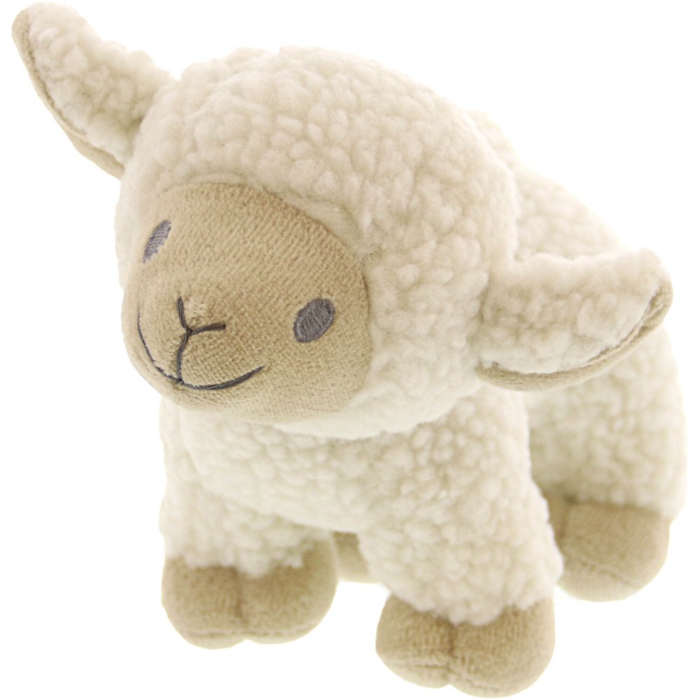 jack jack teddy bear