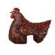 thumbnail image 4 of Hen Statue En Sculpture Animal Ornt Patio Lawn Home R Backyard, 4 of 5