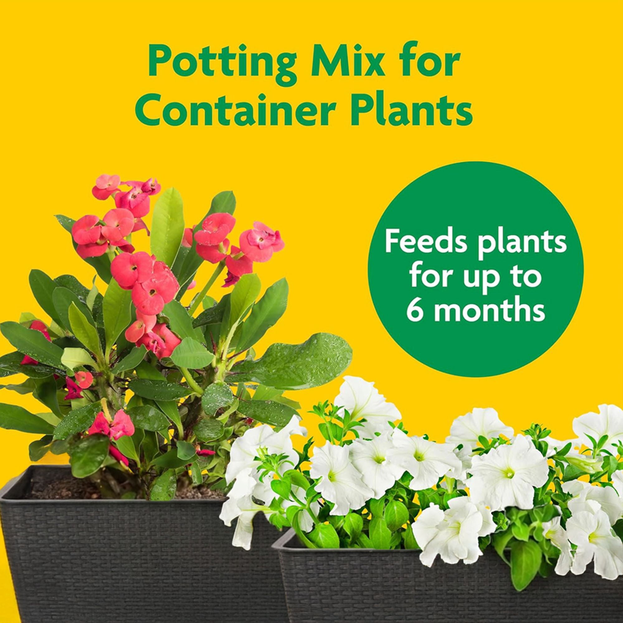 Miracle-Gro 2 Cu Ft Potting Mix and 24-Pack Indoor Plant Food Spikes for Garden Soil