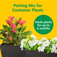 thumbnail image 3 of Miracle-Gro 10 Pack Potting Mix for Container Plants, Flowers and Vegetables, 2 Cu Ft, 3 of 10