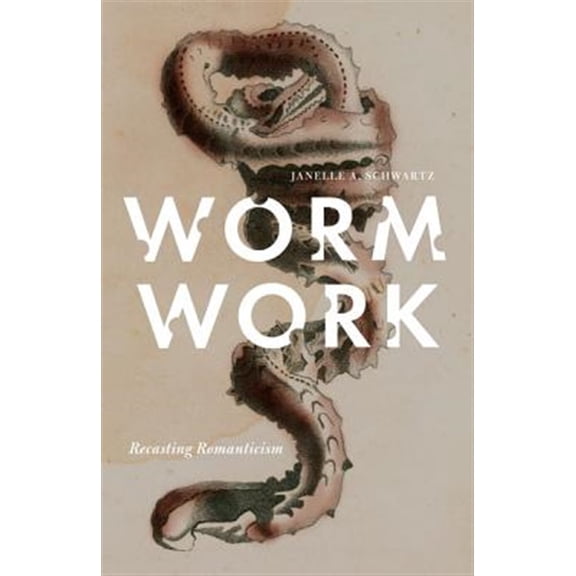 Pre-Owned Worm Work: Recasting Romanticism (Paperback) 0816673217 9780816673216