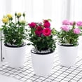 thumbnail image 1 of Flmtop Self-watering Plant Flower Pot Wall Hanging Planter Vertical Home Garden Decor, 1 of 9