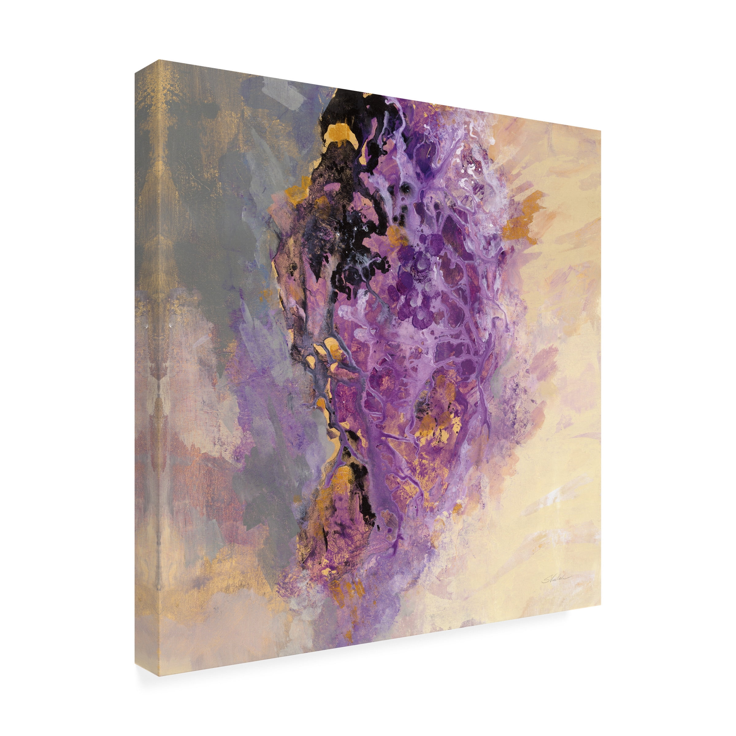 Silvia Vassileva 'Amethyst' Canvas Art