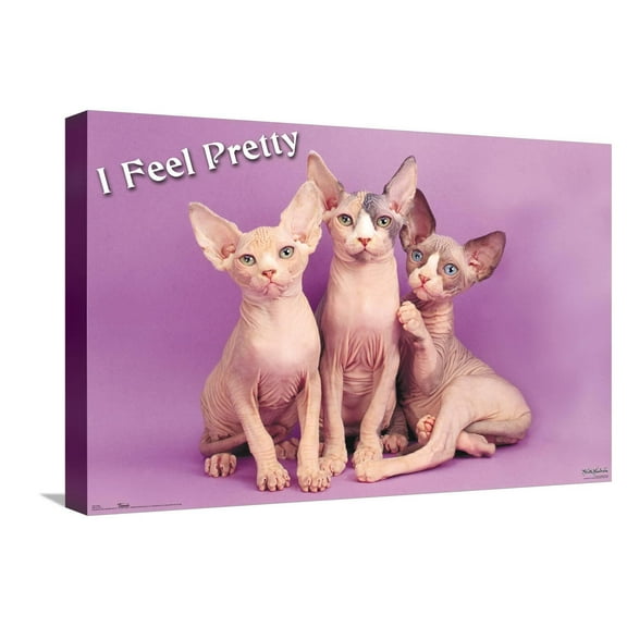 Keith Kimberlin - Kittens - Pretty Kitty Canvas Wall Poster, 14.725" x 22.375"