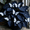 D, variant on Butterfly Flower Hostas Cultivation Granules-(Non-Artificial)-Bloom Year After Year,Fast Growing,Home Decoration-Beautiful Gift Garden-Ornamental-Premium Garden Stakes